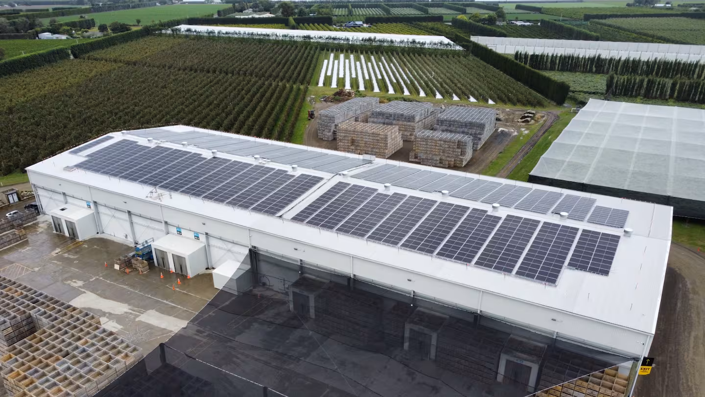 Rooftop solar installation at Kaiaponi Farms in Gisborne