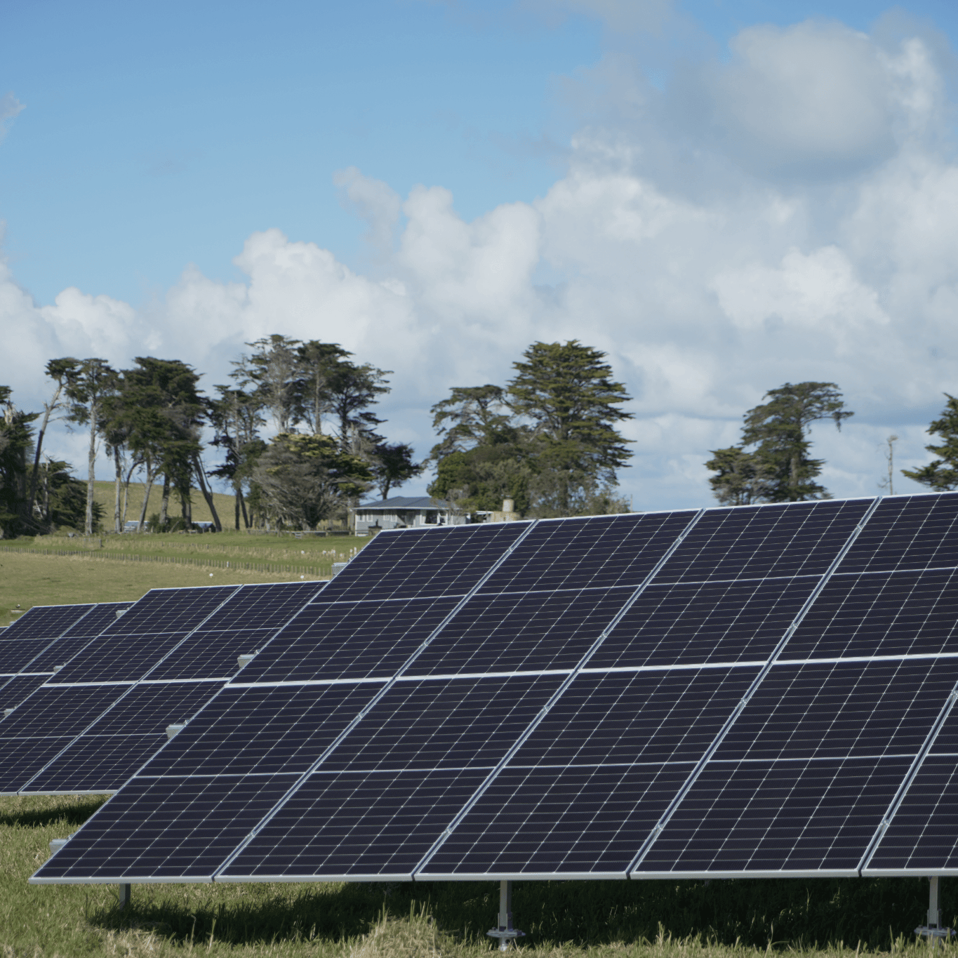 Solar Panels on Motutapu Island