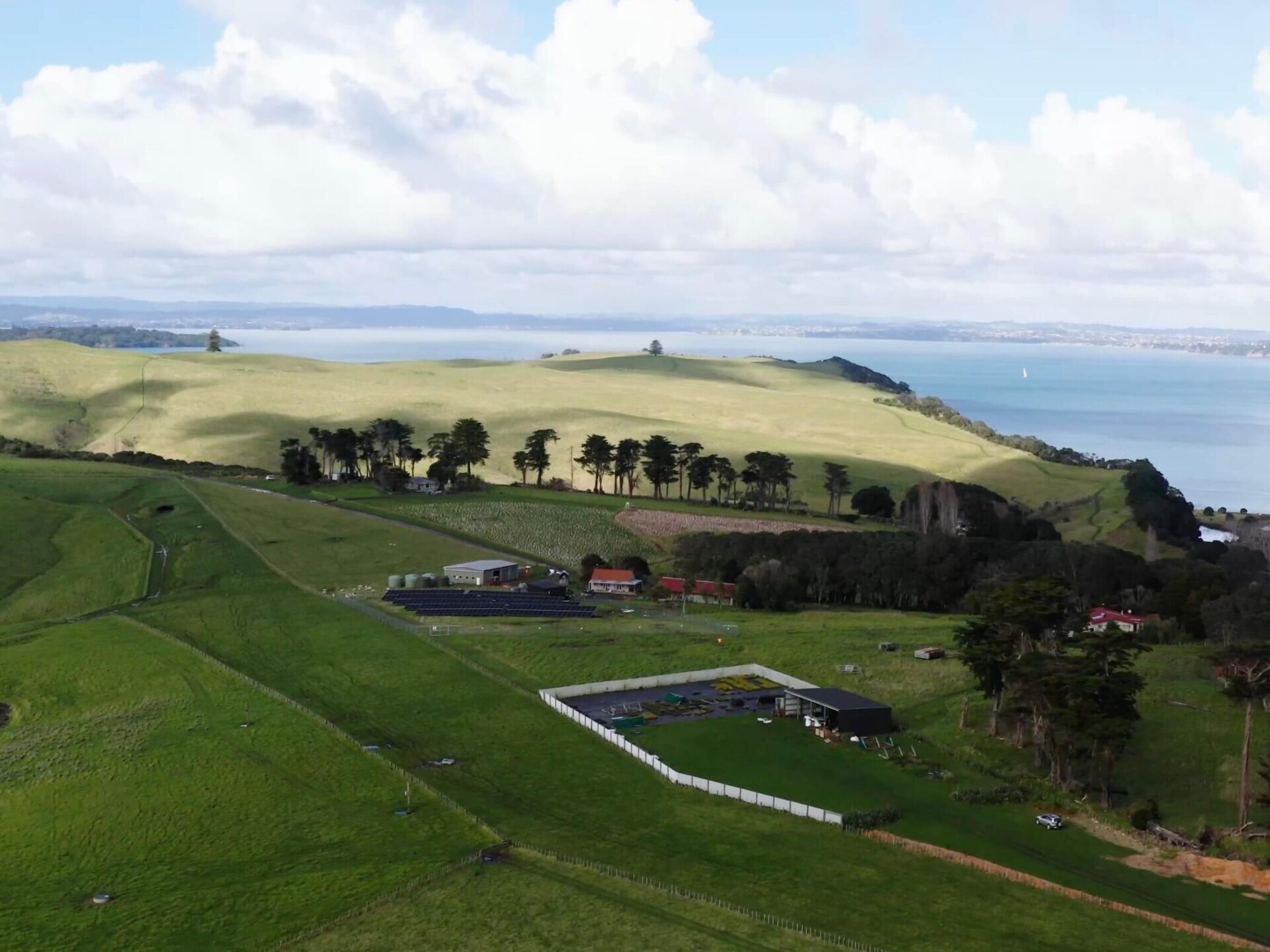 Motutapu island landscape